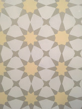 Load image into Gallery viewer, McNay LRG